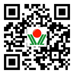 濟南金鑼麻豆成人免费视频